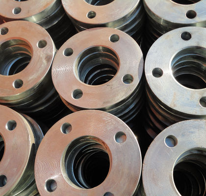 S235JR  P245GH  304 316 FLANGE BS4504 PN6 PN10 PN25 PN40 PN64 PN100 Forged Flanges