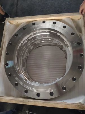 DIN EN1092 STANDARD FLANGE CS SS PN6 To PN63 RUST PROOF OIL FORGED FLANGE