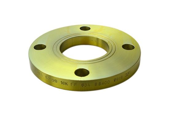 DIN2576 Flange EN1092-1 Type01 DIN2502 DIN2503 F304 F316 S235JR RST37.2