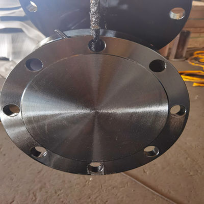 Class B Class D AWWA C207-07 Ring Blind Flange A105N F304 304L F316 316L