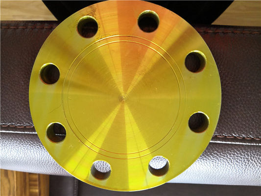 PN6 DN15-DN2000 CARBON STEEL FORGED FLANGE DIN EN1092-1