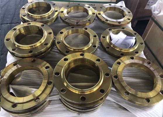EN1092-1 DIN Forging Steel Pipe Flange BS4504 PN16 Welding Neck A105 C22.8 Flange