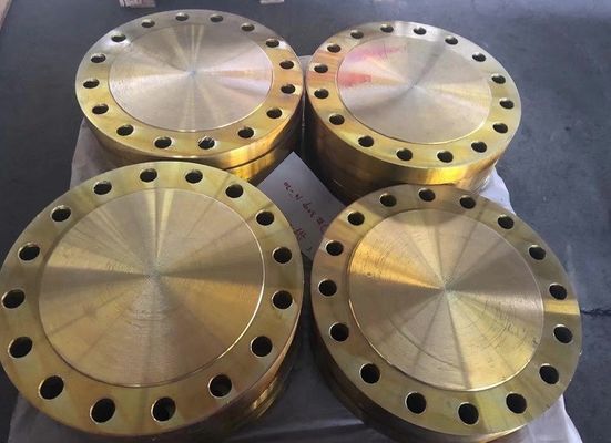 EN1092-1 DIN Forging Steel Pipe Flange BS4504 PN16 Welding Neck A105 C22.8 Flange