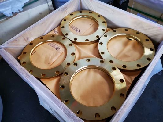 SORF P245GH CARBON STEEL PLATE FLANGE PN06 PN10 PN16 PN25 PN40 PN63 PN100