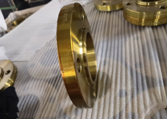 Dn15-Dn1200 Stainless Steel Threaded Pipe Flange 300lbs