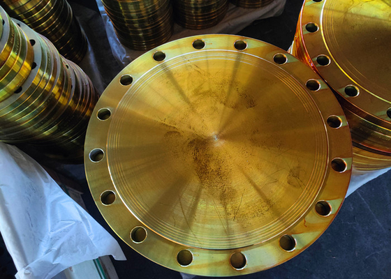 Jis B2220 Jis 10k Blind Flange Carbon Steel Yellow Painting